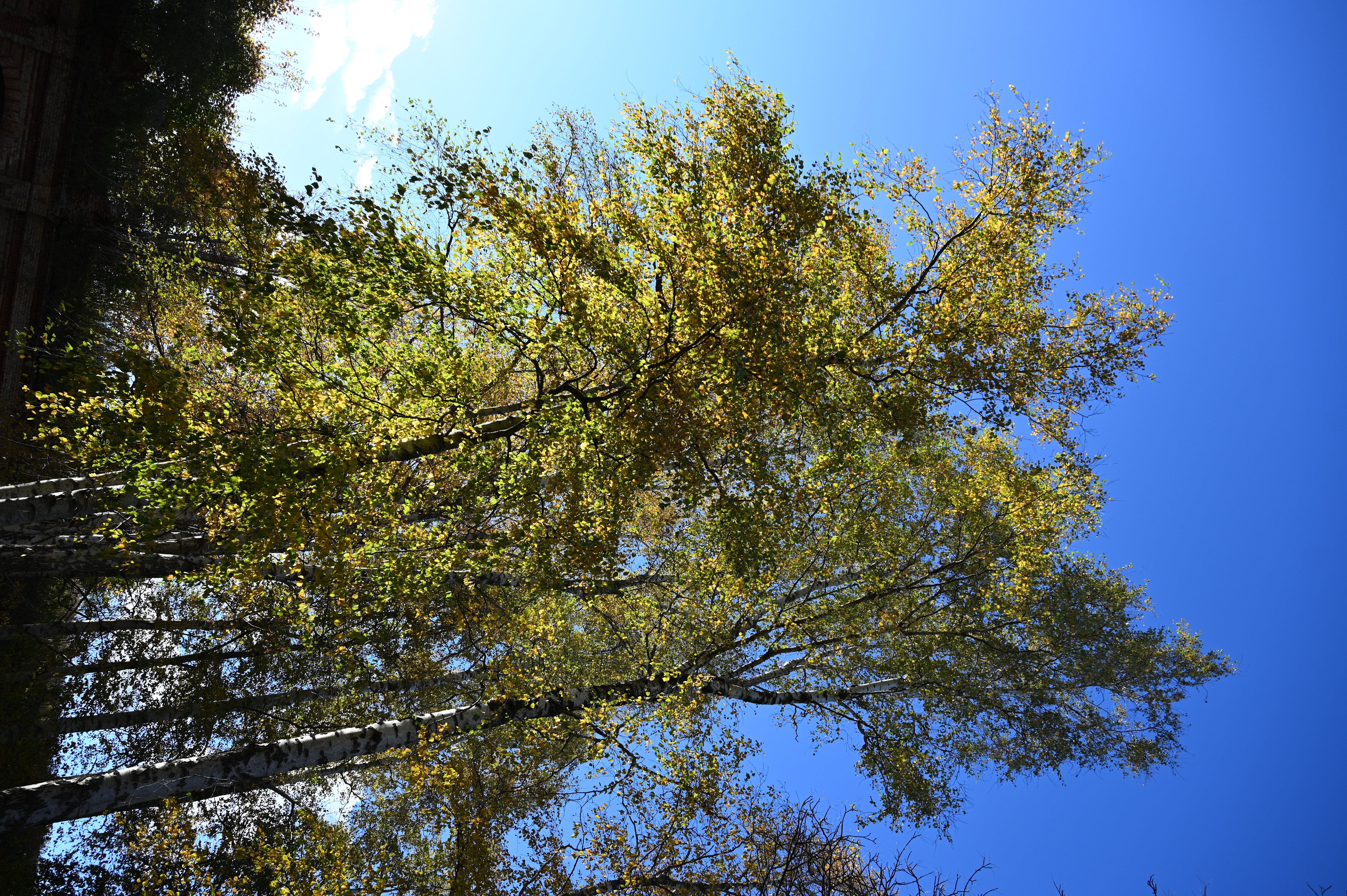 2025/10/18 - walk/DSC_0084.JPG